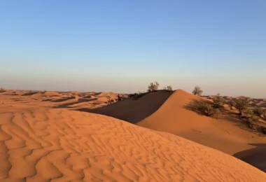 Morocco: Sahara Trek 2026